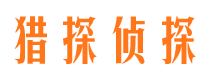 元江市侦探公司